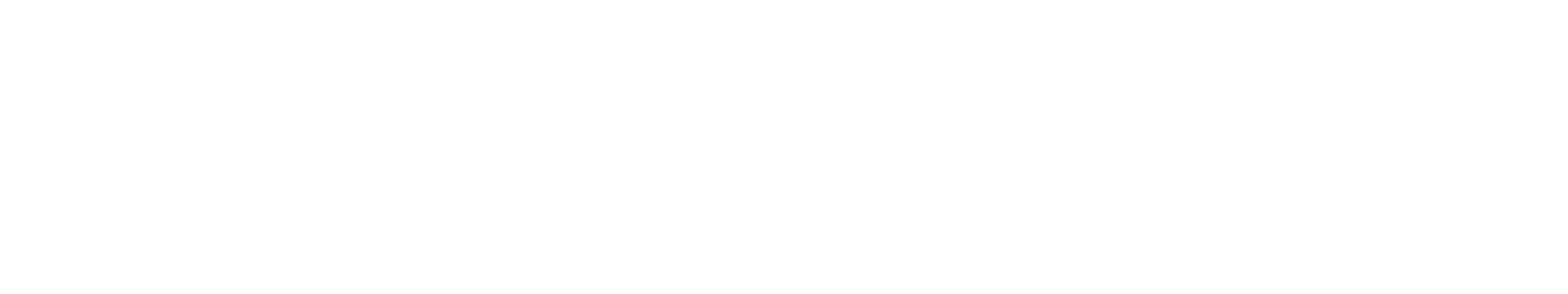 Strategyzer